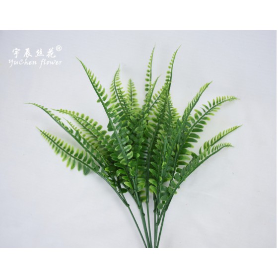 Cây dương xỉ Ba Tư giả tán rộng phù hợp decor trong và ngoại nội thất cao