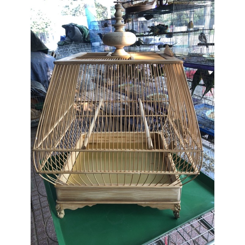Lồng chào mào tre kiểu thái