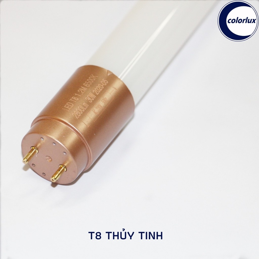Combo 4 Bóng Đèn Led Tube T8 Nhôm Nhựa - Thủy Tinh Colorlux Siêu Sáng, Siêu Bền | BigBuy360 - bigbuy360.vn