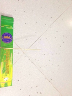 Hương diệt muỗi Thái Lan ít khói, ít mùi không độc hại