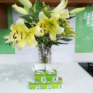 Bí quyết giữ hoa lâu tàn tại nhà và giữ hoa LILY cắm bình tươi gấp 2 lần (SET 50 gói) với 14 ngày không thay nước