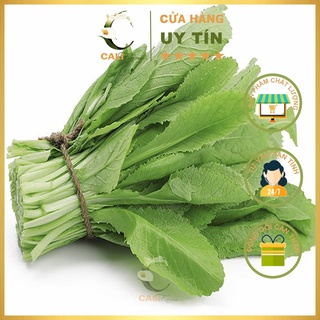 Hạt giống Cải Bẹ Xanh Mỡ 20g
