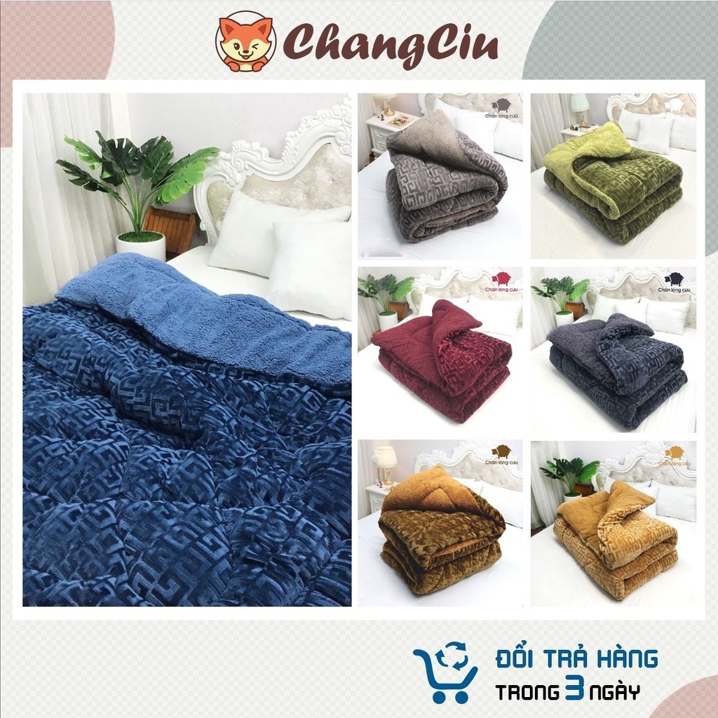 Chăn lông cừu Changciu Bedding, Chăn chữ vạn lông cừu cao cấp