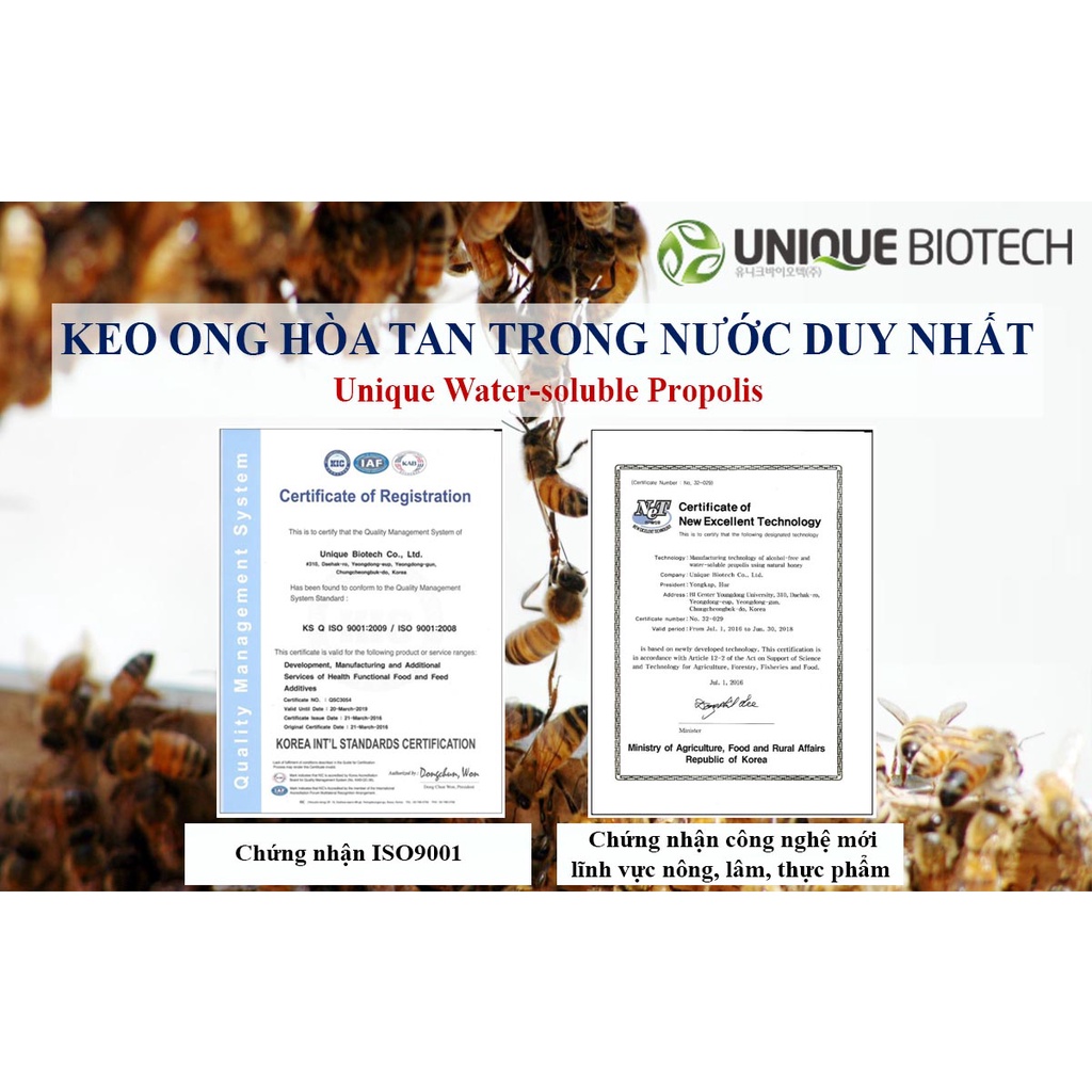 Combo 2 Xịt Họng 3T Keo Ong Úc Giảm Ho Đau Ngứa Rát Họng (2 Chai x 25ml)