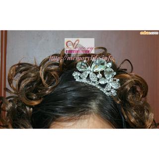 Vương miện Cô dâu và Dạ hội (5)