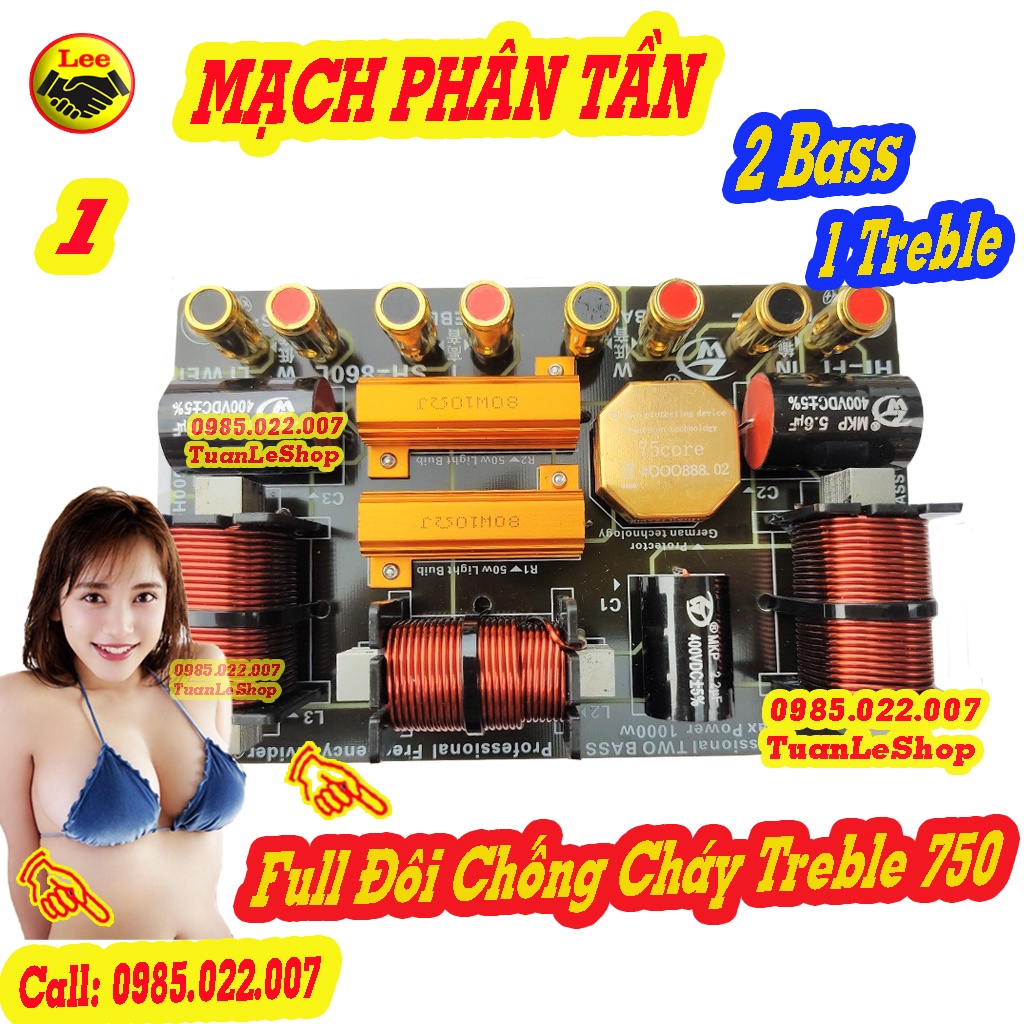 MACH FULL DOI BASS 40, MẠCH PHÂN TẦN CHỐNG CHÁY TREBLE 750 - 2 BASS + 1 TREP  SH 860L GIÁ 02 MẠCH