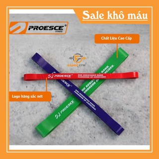 Dây tập superband - dây cao su đàn hồi tập chân,mông chính hãng proesce