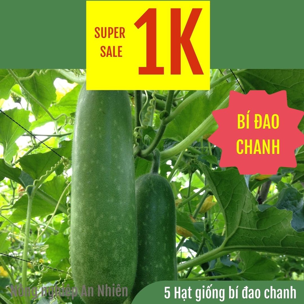 [SALE1K] 5 Hạt giống bí đao chanh siêu trái