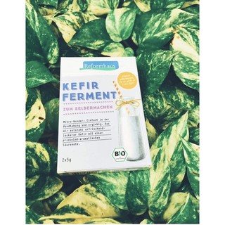 men khô Kefir làm sữa chua