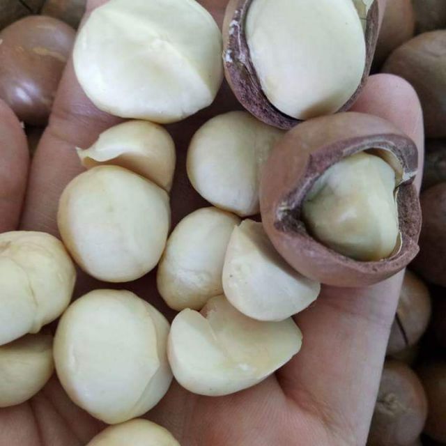 500Gr Hạt mắc ca daklak