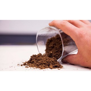 Đất Peatmoss 1 Kg (Peatman)