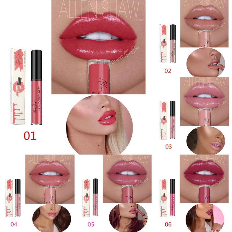 [Hàng mới về] Son kem hiệu ứng bóng mượt môi 6ml nhãn hiệu Allen Shaw | BigBuy360 - bigbuy360.vn