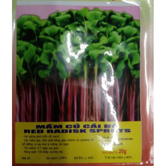HẠT GIỐNG MẦM CẢI CỦ CẢI ĐỎ CỦ CẢI TÍM TÍA - GÓI 20 GRAM