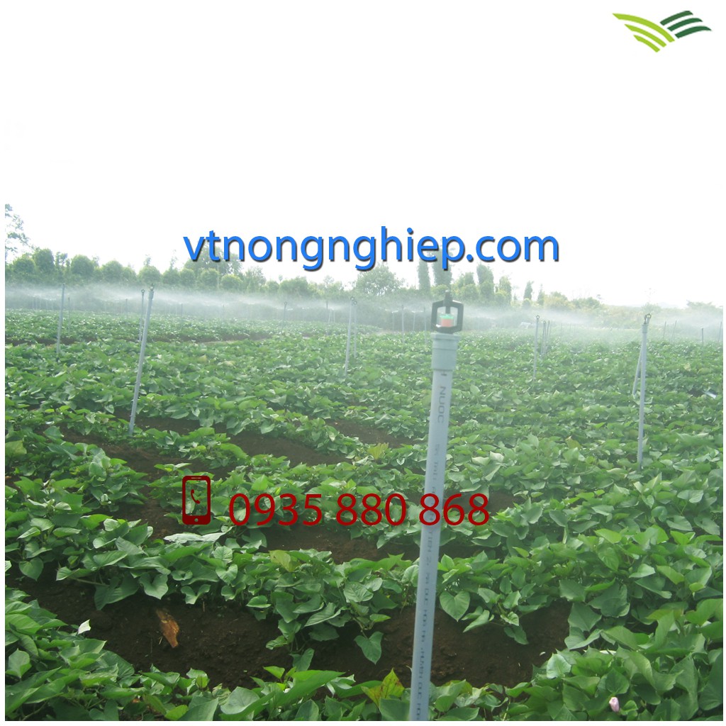 10 BÉC TƯỚI PHUN MƯA BB-917 kèm nối 21 răng trong 17