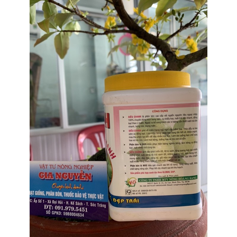 SIÊU CHANH kích ra hoa đậu nhiều trái lớn trái nhanh 500g