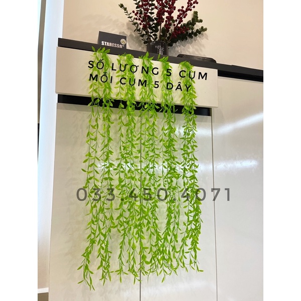 Cúc tần ấn độ dài 1 mét, dây lá giả, cây giả decor trang trí