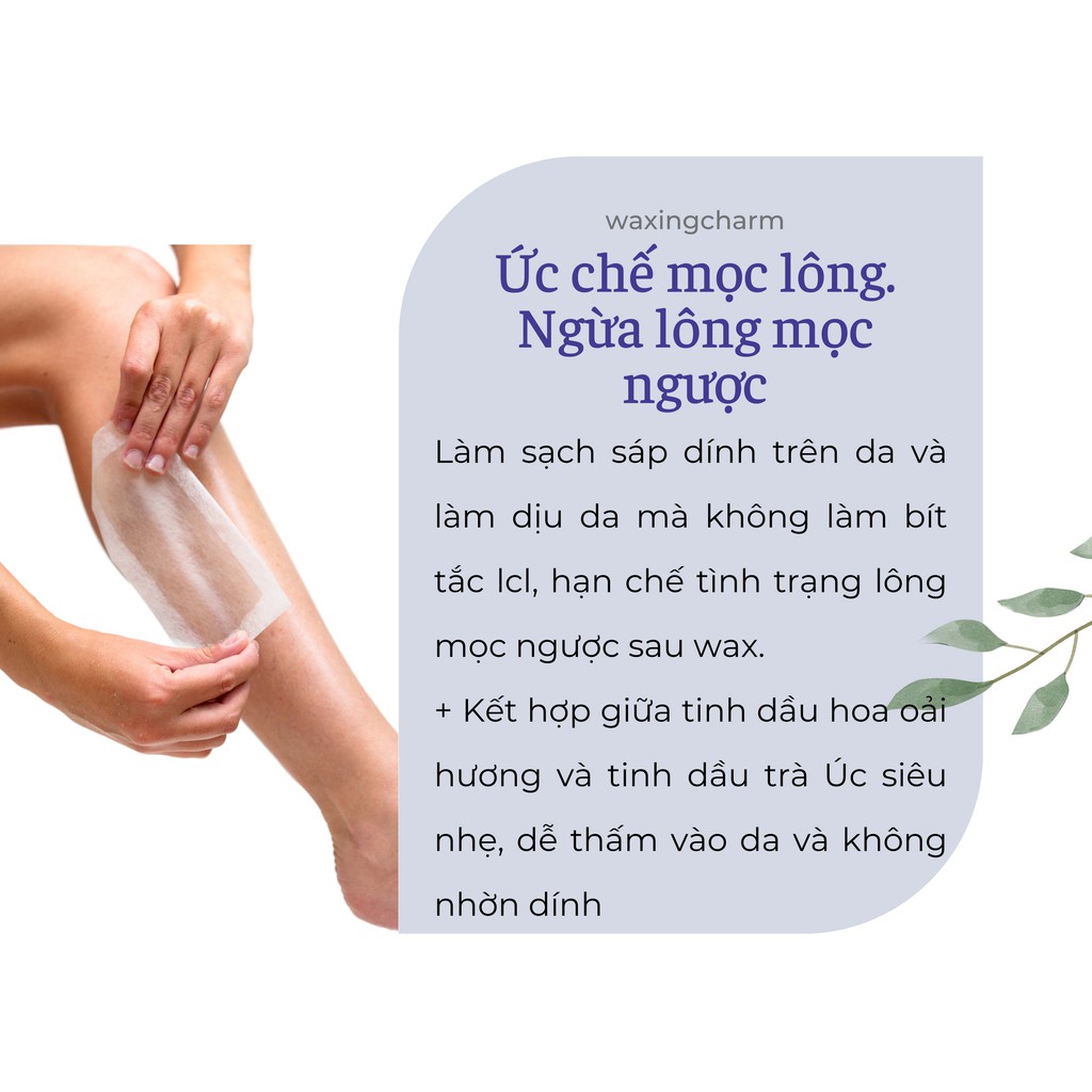 Dầu Lau Sáp Sau Tẩy Lông Triệt Lông Nhập Khẩu Úc Jax Wax Dành Cho Nách, Body, Bikini