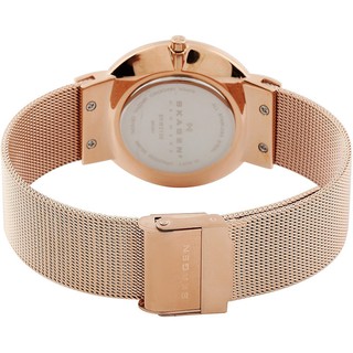 Đồng hồ Skagen nữ SKW2130