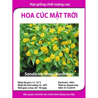 Hạt giống hoa Cúc mặt trời