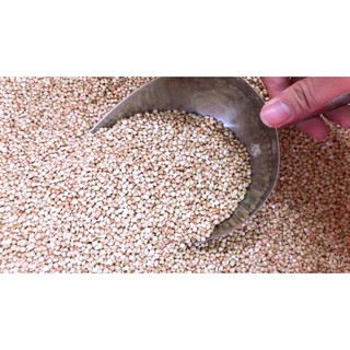 500g Hạt kiều mạch/ Hạt ba khía đã bóc vỏ