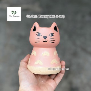 Chậu cây mèo hồng trồng cây cảnh để bàn
