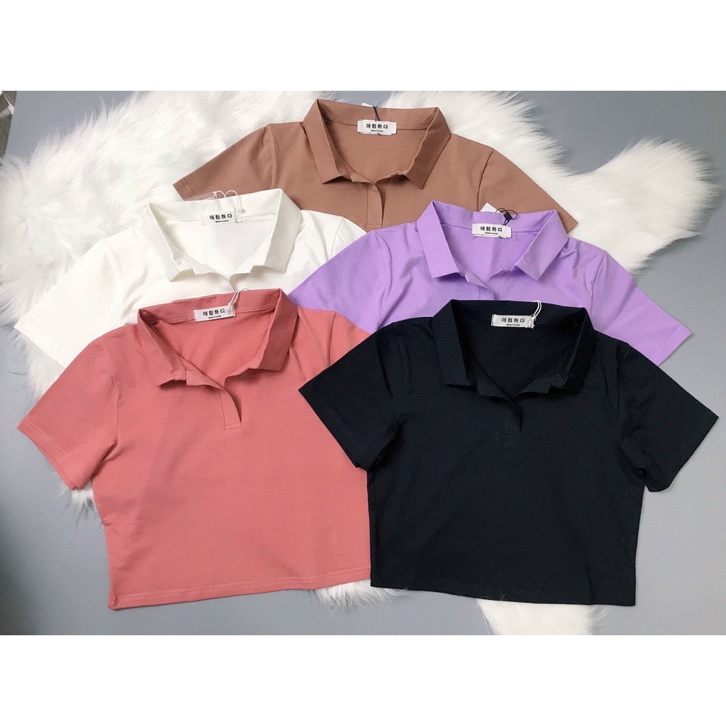 Áo croptop nữ có cổ vải cotton mịn co giãn croptop ngắn tay thun đẹp | BigBuy360 - bigbuy360.vn