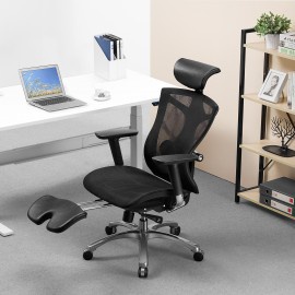 GHẾ CÔNG THÁI HỌC CAO CẤP SIHOO V1