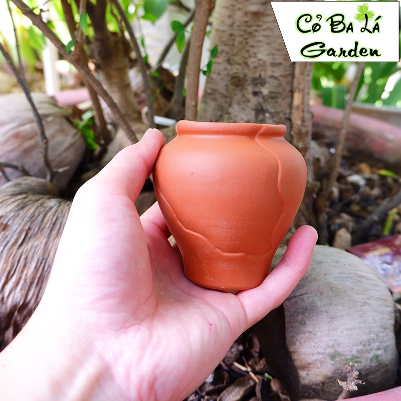 Chậu cây mini hình Lu Cao đất nung
