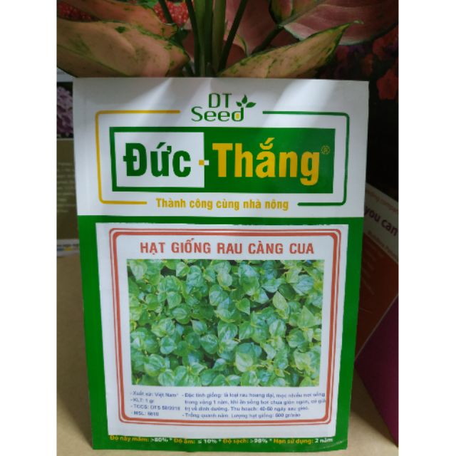 HẠT GIỐNG RAU CÀNG CUA- Rau củ quả trồng tại vườn, sân thượng, nông trang, ban công