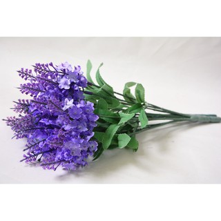 Hoa giả - Nhánh Hoa lavender