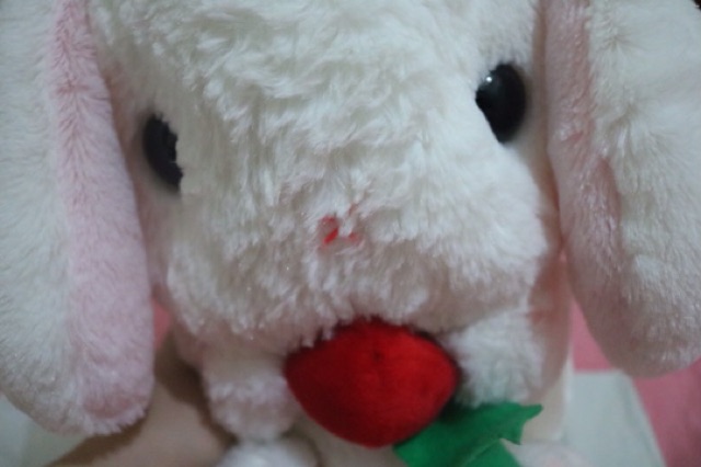 Thú bông thỏ ôm dâu Loppy bunny Amuse Plush chính hãng