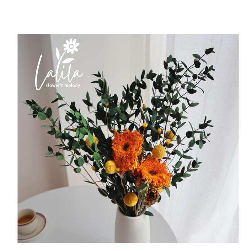 LÁ BẠCH ĐÀN KHÔ Eucalyptus trang trí cắm hoa decor nhà cửa chụp hình sản phẩm