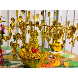 Cây thần tài