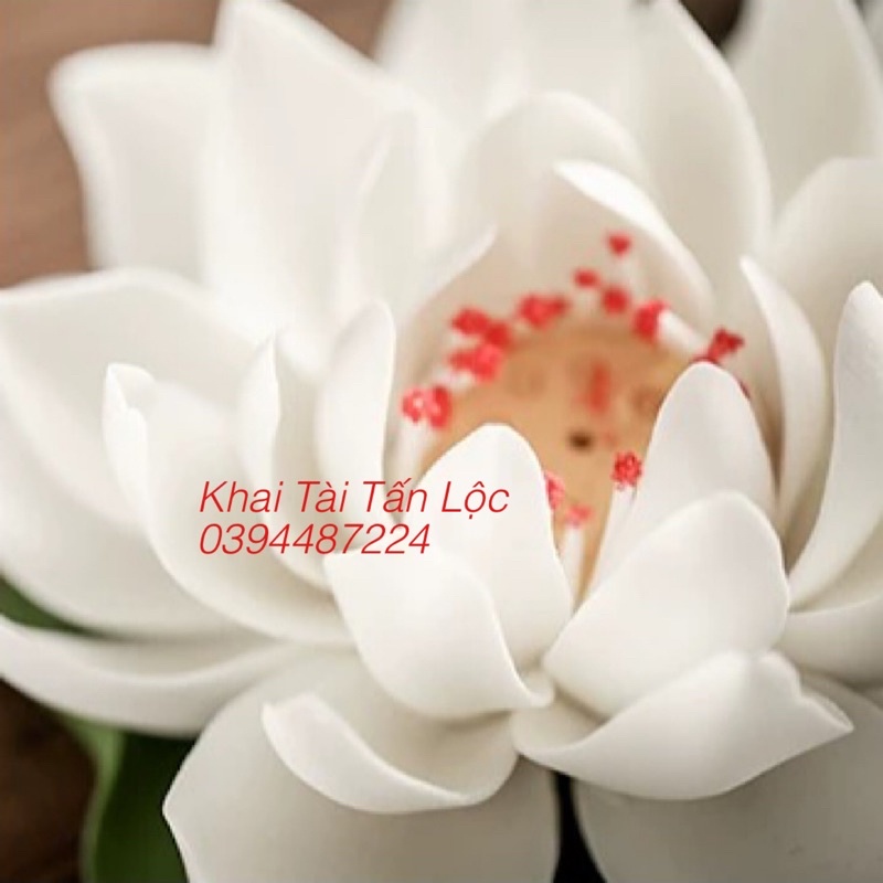 Hoa sen trắng gốm sứ cắm nhang , thắp hương trang trí lớn 13cm