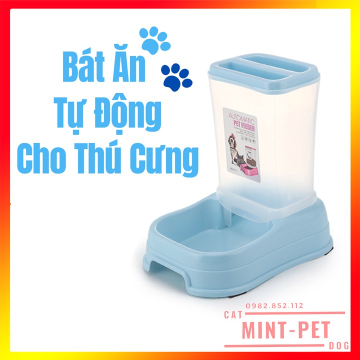 Bát ăn tự động hình hộp cho chó mèo giá rẻ #MintPet