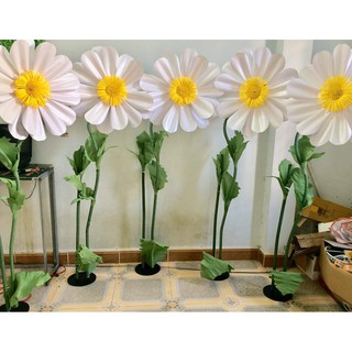 Trụ hoa giấy cúc họa mi khổng lồ trang trí backdrop