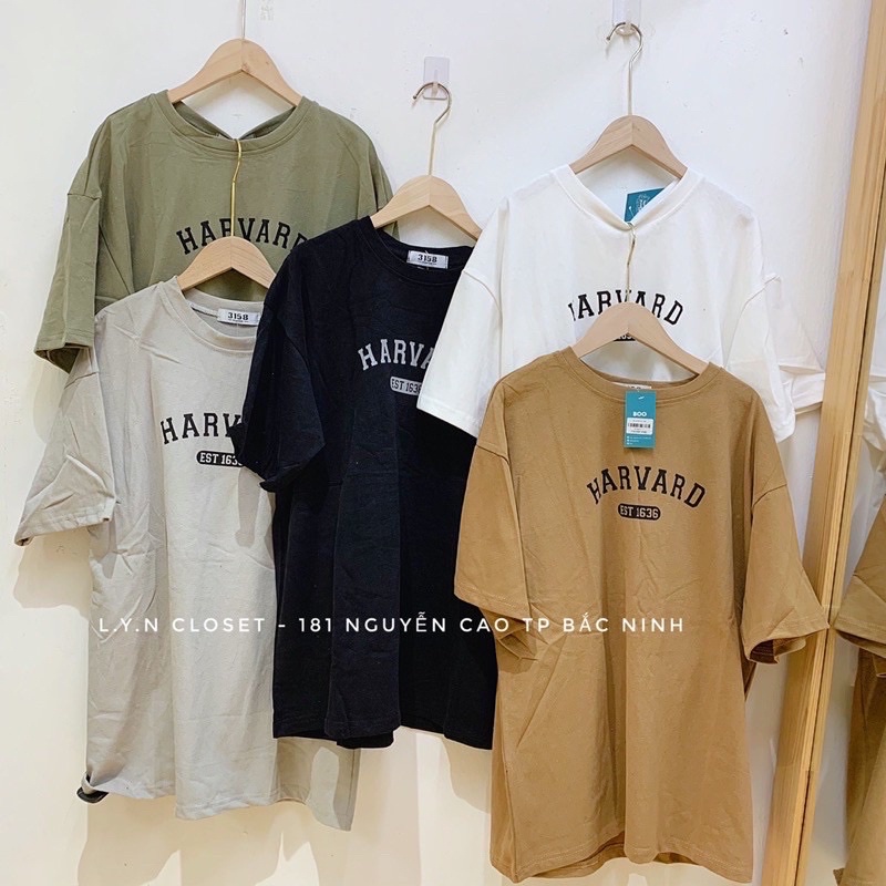 Áo thun 3158 chữ Harvard chất dày hàng Quảng Châu