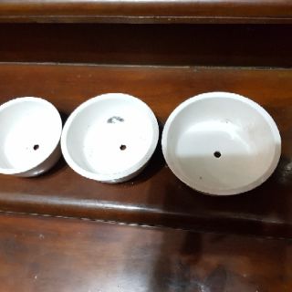 Chậu trồng sen đá