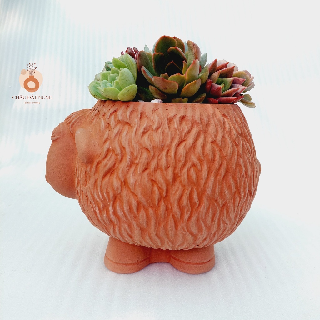 Chậu đất nung, Chậu sen đá - Cừu Mập Heo, miệng chậu 12cm, chiều cao 17cm
