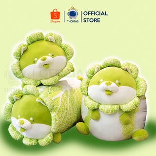 Gấu bông chó shiba bắp cải siêu ú