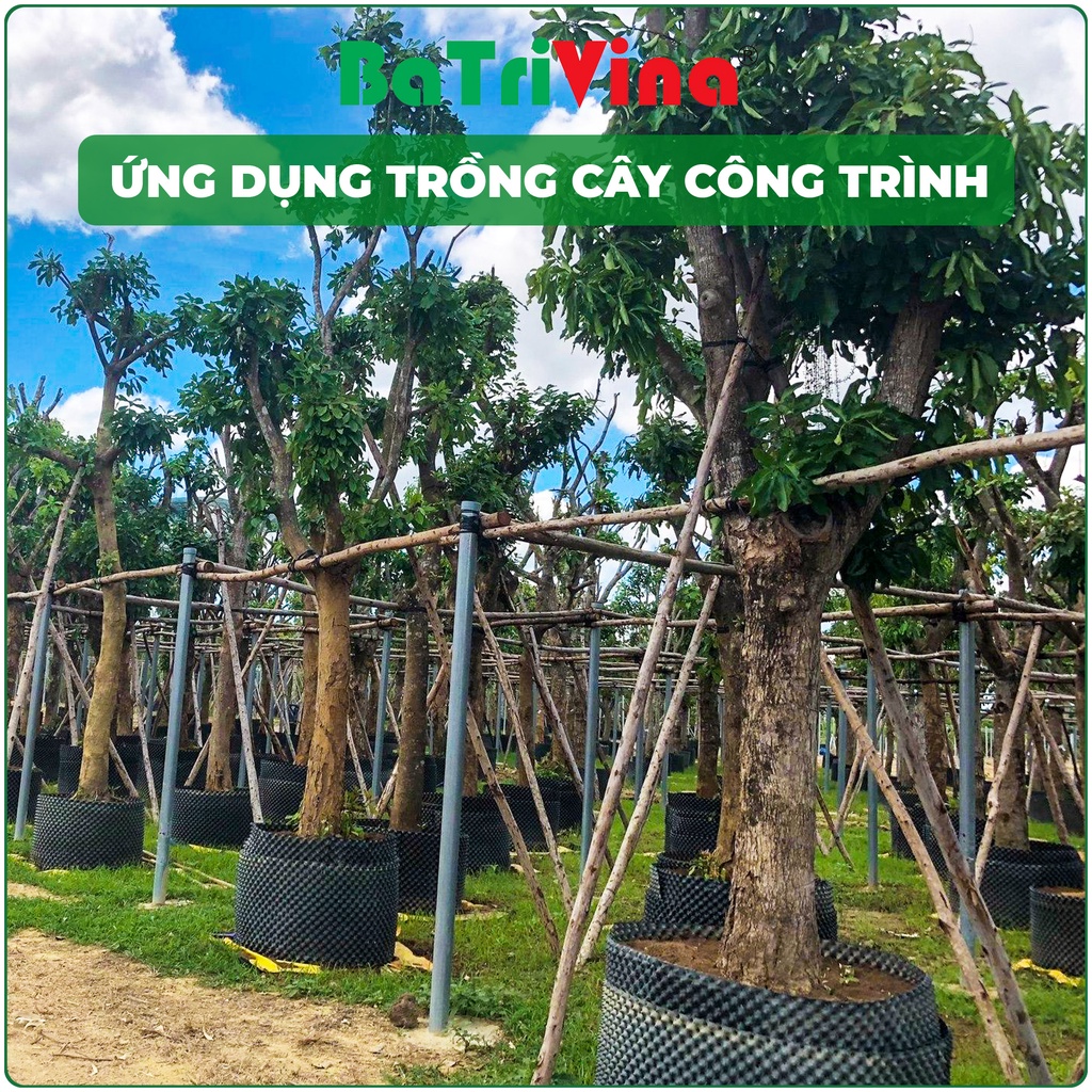 Combo 5 mét Bầu Nhựa Dưỡng Cây - Ươm Cây BoSaVina, Thoáng khí, thoát nước, bảo vệ bộ rễ, giúp cây phát triển khỏe mạnh