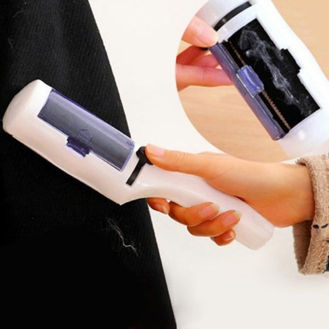 Cây Lăn Bụi Cây Lăn Sạch Lông Thú Cưng