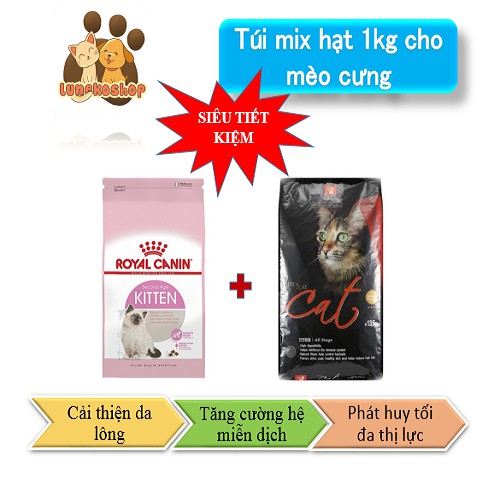 [HẠT MIX SIÊU RẺ] [Freeship Extra] Túi chiết mix CATSRANG KITTEN CATSEYE (Túi 1kg)