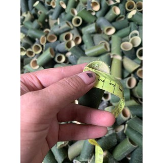 10 ống tre làm chả ốc