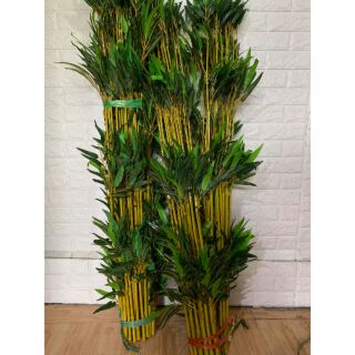 Combo 100 cây trúc giả