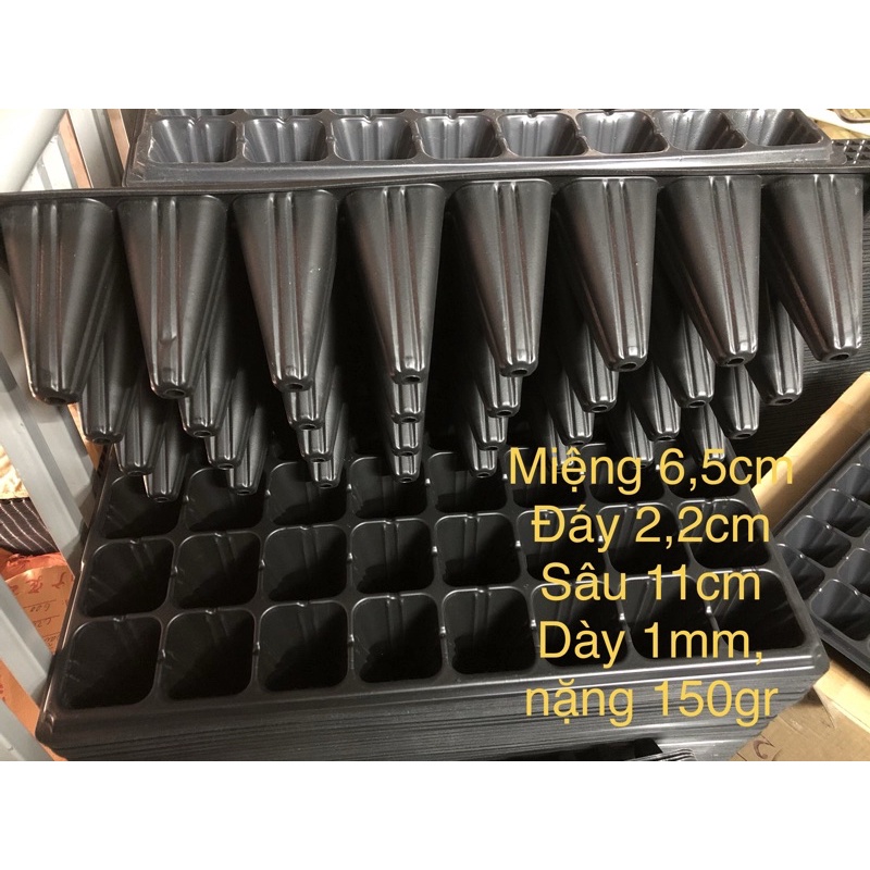 sét 5 khay ươm hạt 32 lỗ sâu ( miệng 6,5cm sâu 11cm)- Hàng dày loại 1