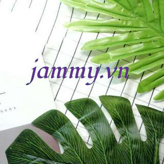 jammy.vn