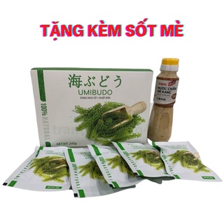 Combo Rong nho tách nước chính hãng Umibudo hộp 12 gói có tặng kèm sốt mè