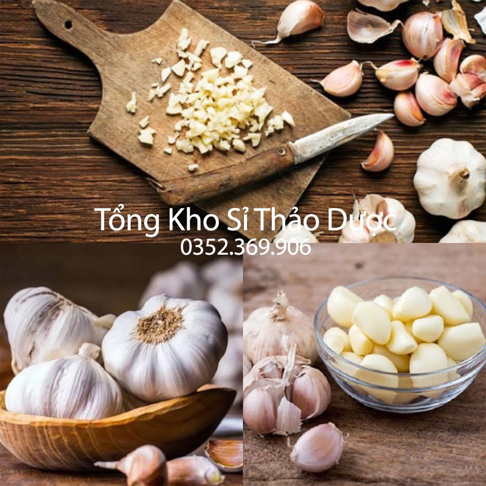 Bột tỏi nguyên chất 100g (Bột garlic, gia vị ướp thịt, gia vị nấu ăn)