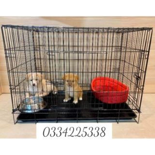 Chuồng Chó Mèo sơn tĩnh điện, Lồng chó mèo Size đại 90 x 60 x 65
